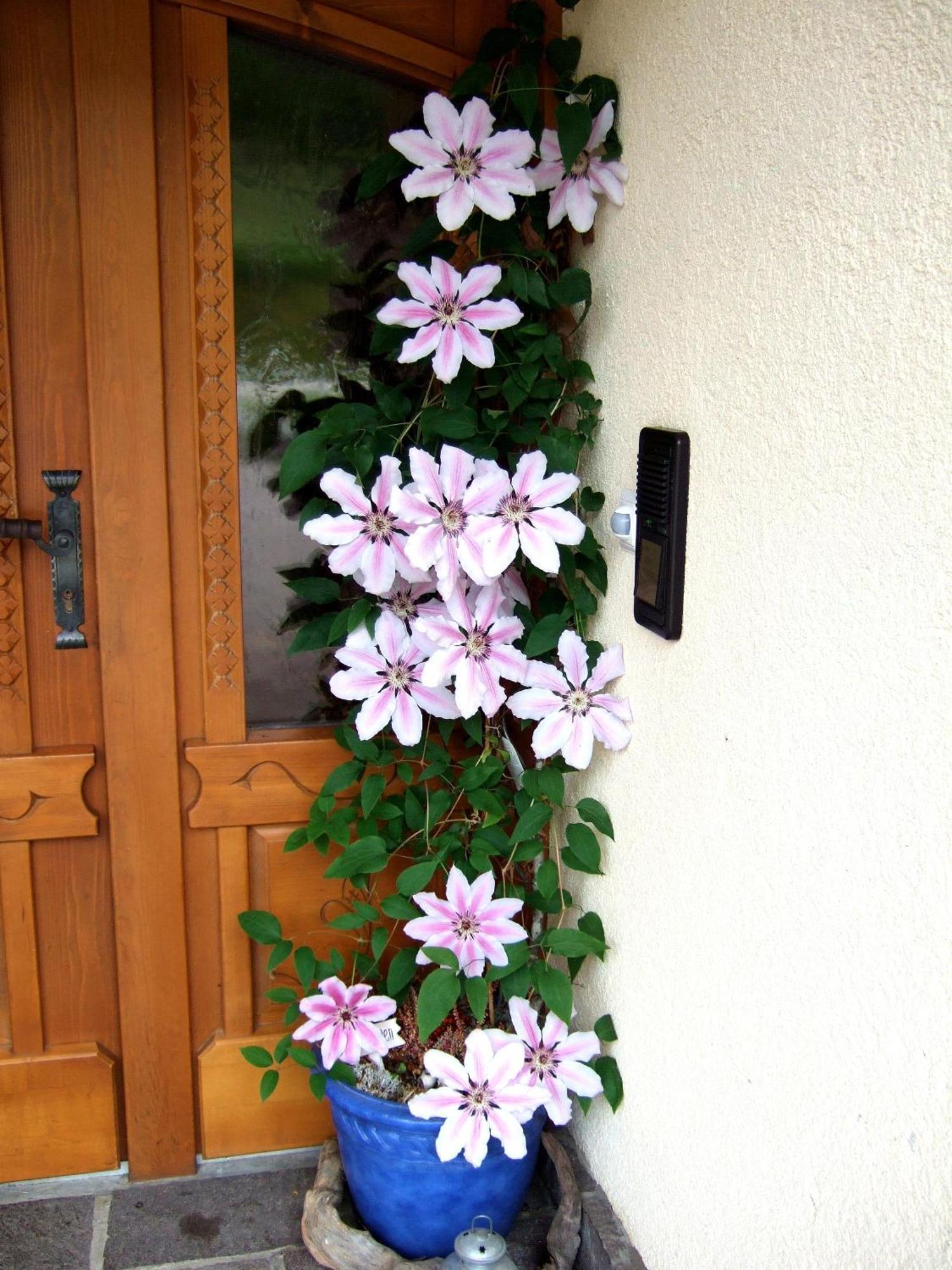 Lungau Apartment - Ferienwohnung Haus Esl Hintergöriach Dış mekan fotoğraf